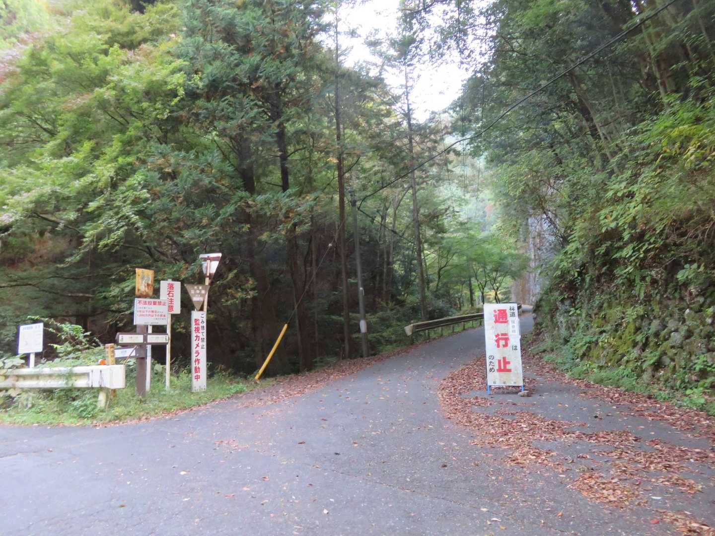 通行止めが解除された山中林道から妻坂峠へ行きます。