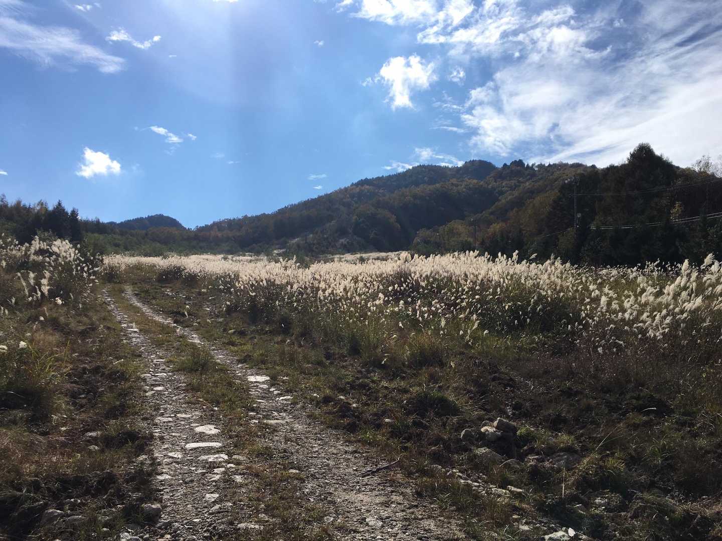 ゲレンデ跡に戻って後ろを振り返る