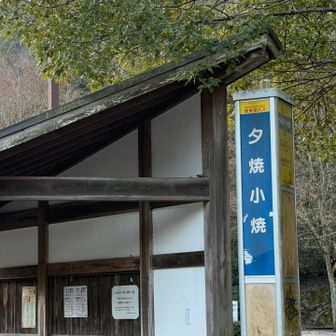 夕焼小焼バス停
軽く歩くつもりが自宅から2時間40分😮‍💨どこの山域へも遠いんです。