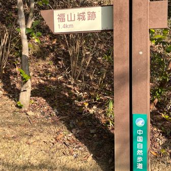 標識もあちこちにあって、歩きやすい登山道です。