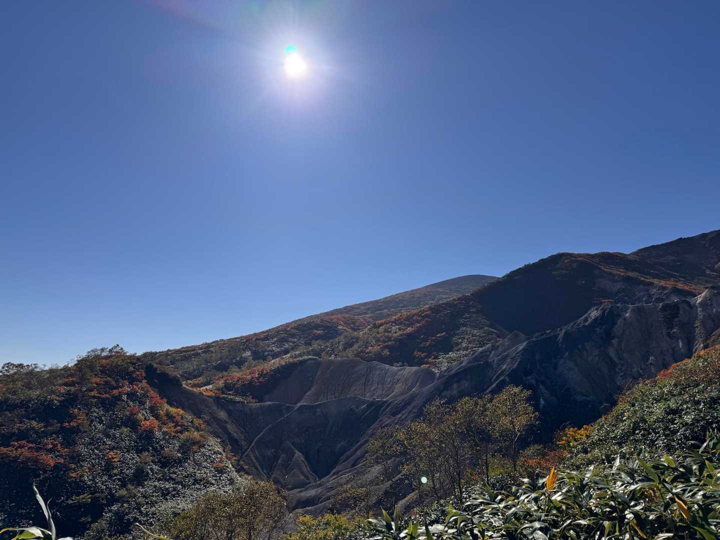 新道コース-男女岳コース-シャクナゲコース 周回コースの写真