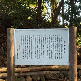 賤機山城跡、賤機山の山頂です。