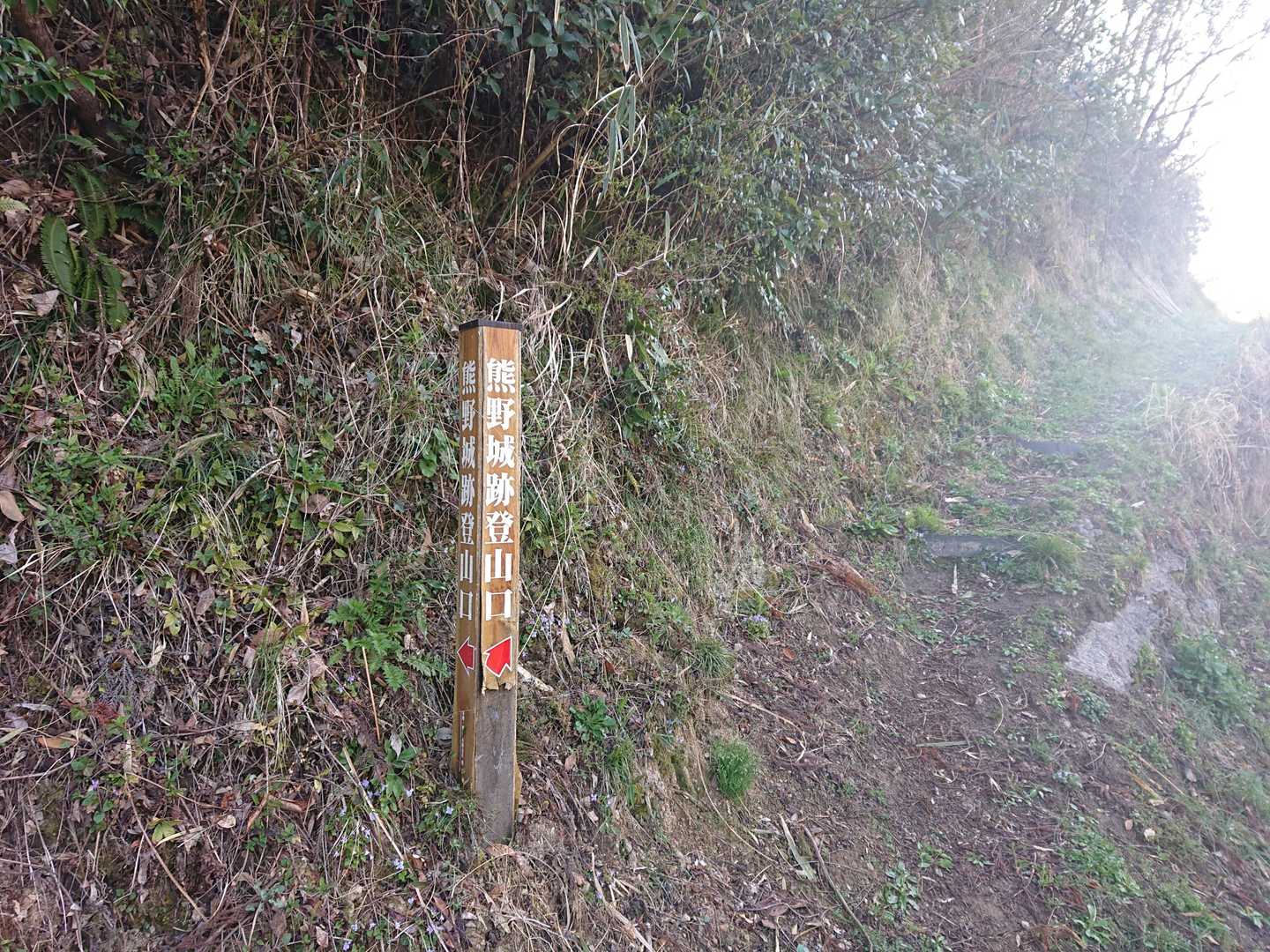 登山口に着きました。ここから登ります😁