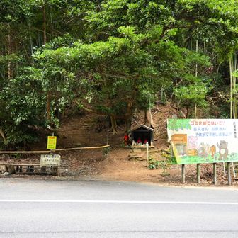 道路の反対側には湯川山への登山口。