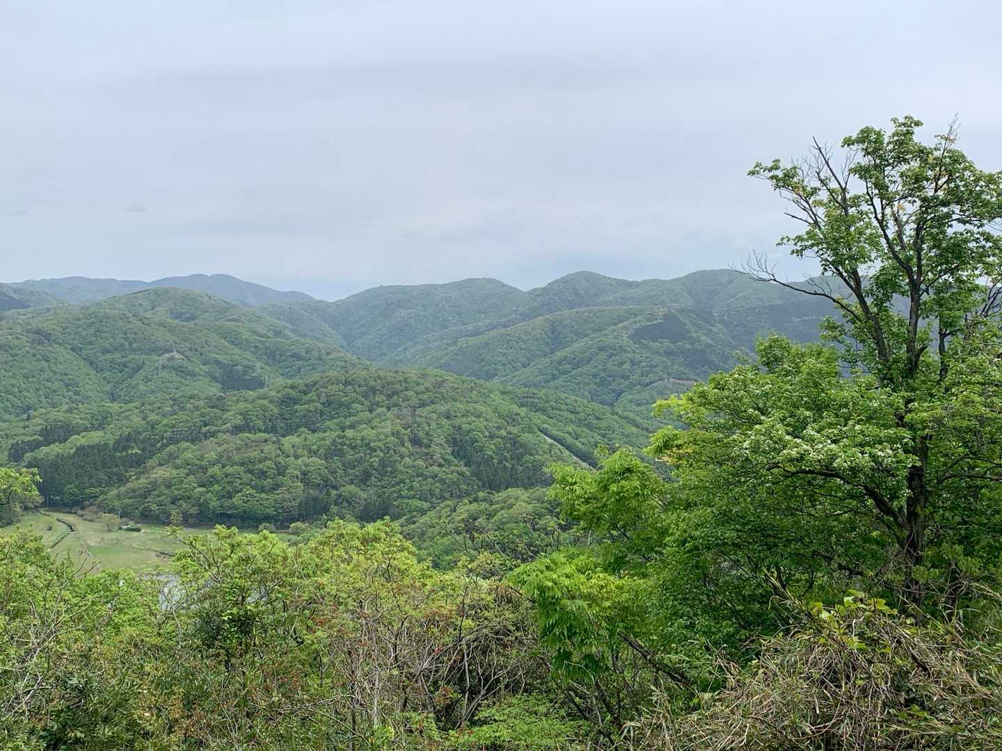 天筒山 往復コースの写真