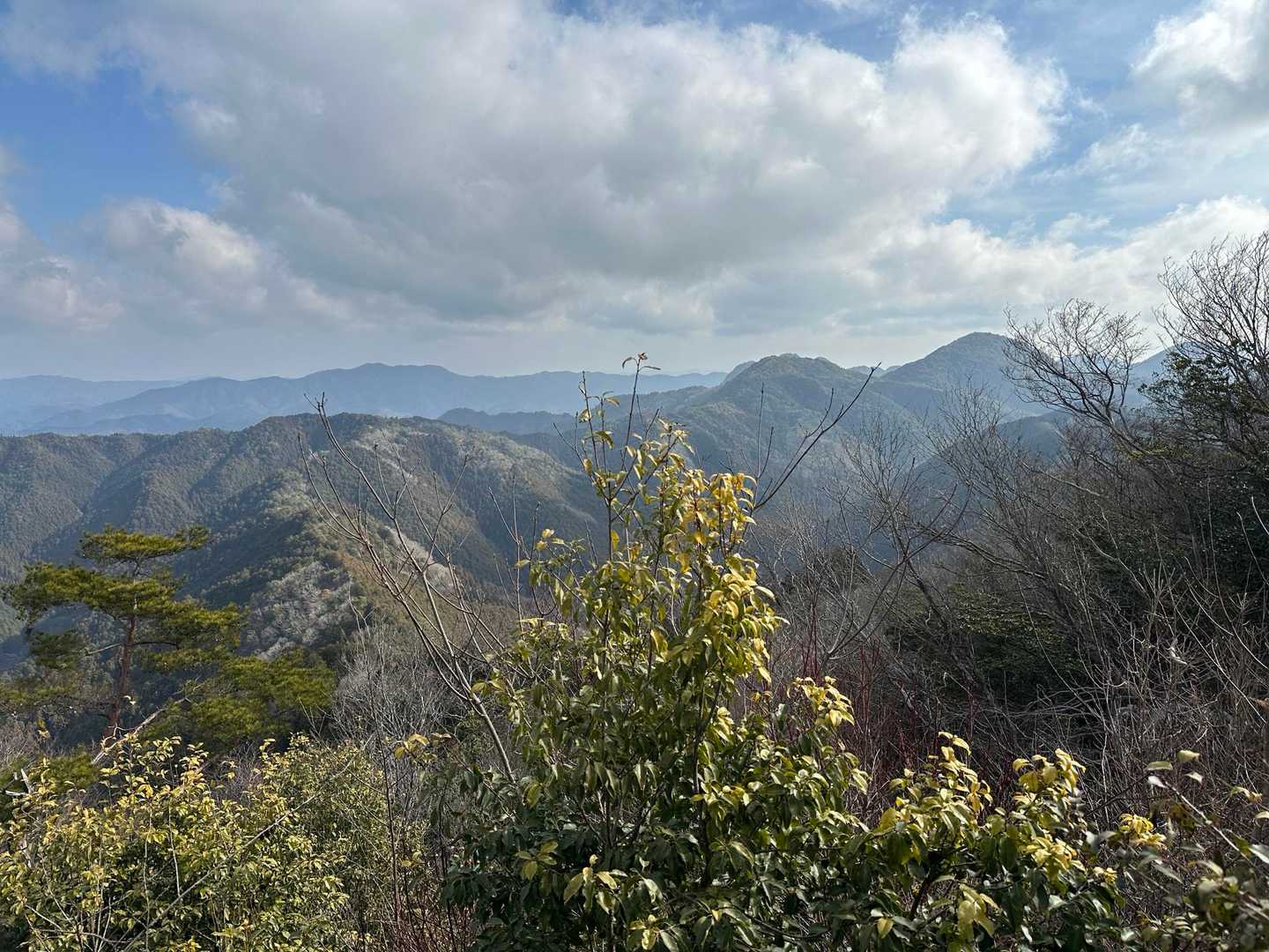 北東方向の展望が開けました👀
左奥に妙高山⛰️、右手に三尾山⛰️、黒頭峰⛰️、夏栗山⛰️が並びます