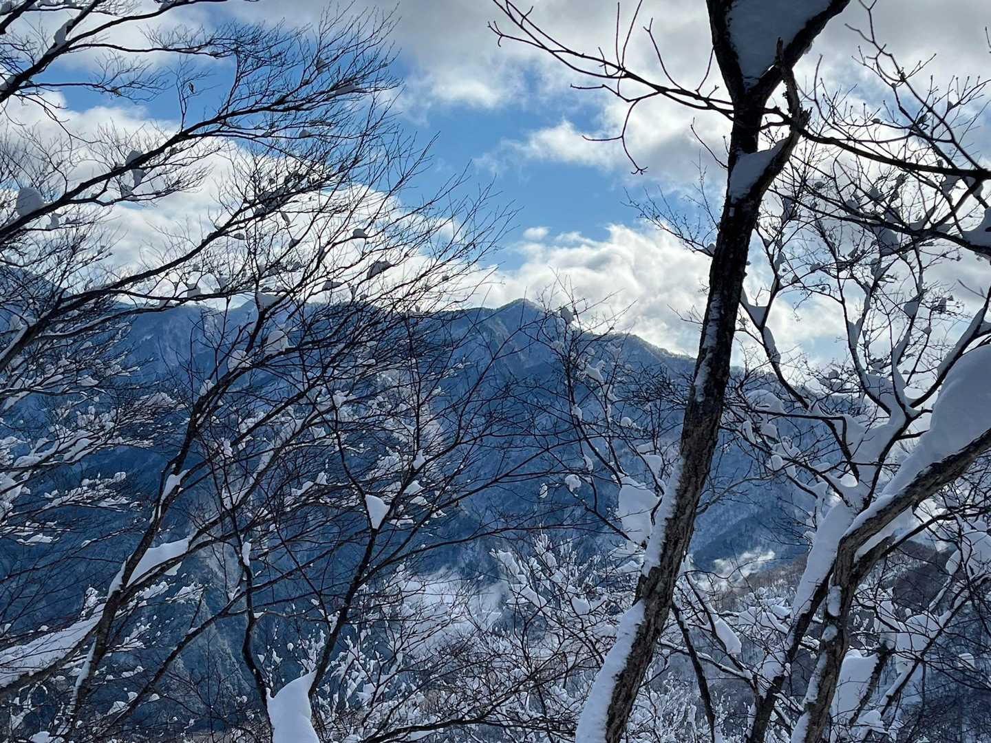 今度登る  小津権現山👀.′.′