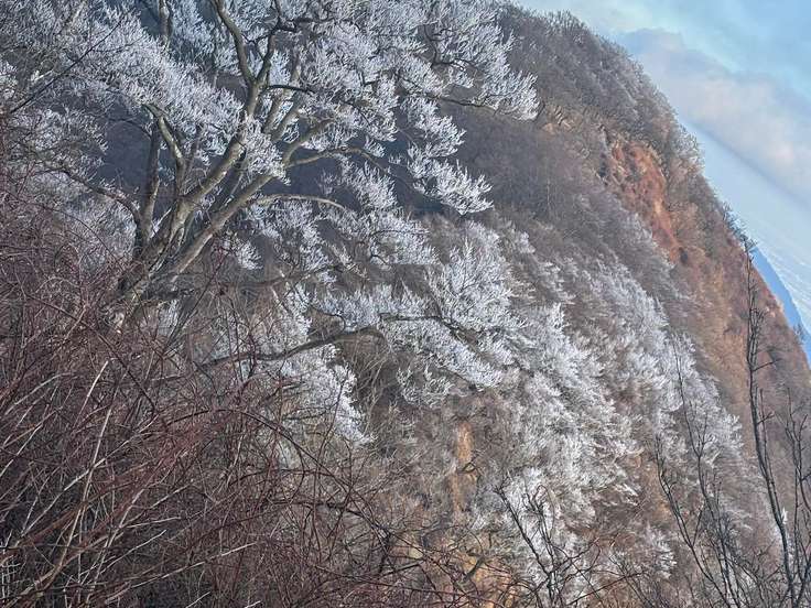 ミズヒノ頭（神奈川） | YAMAP / ヤマップ
