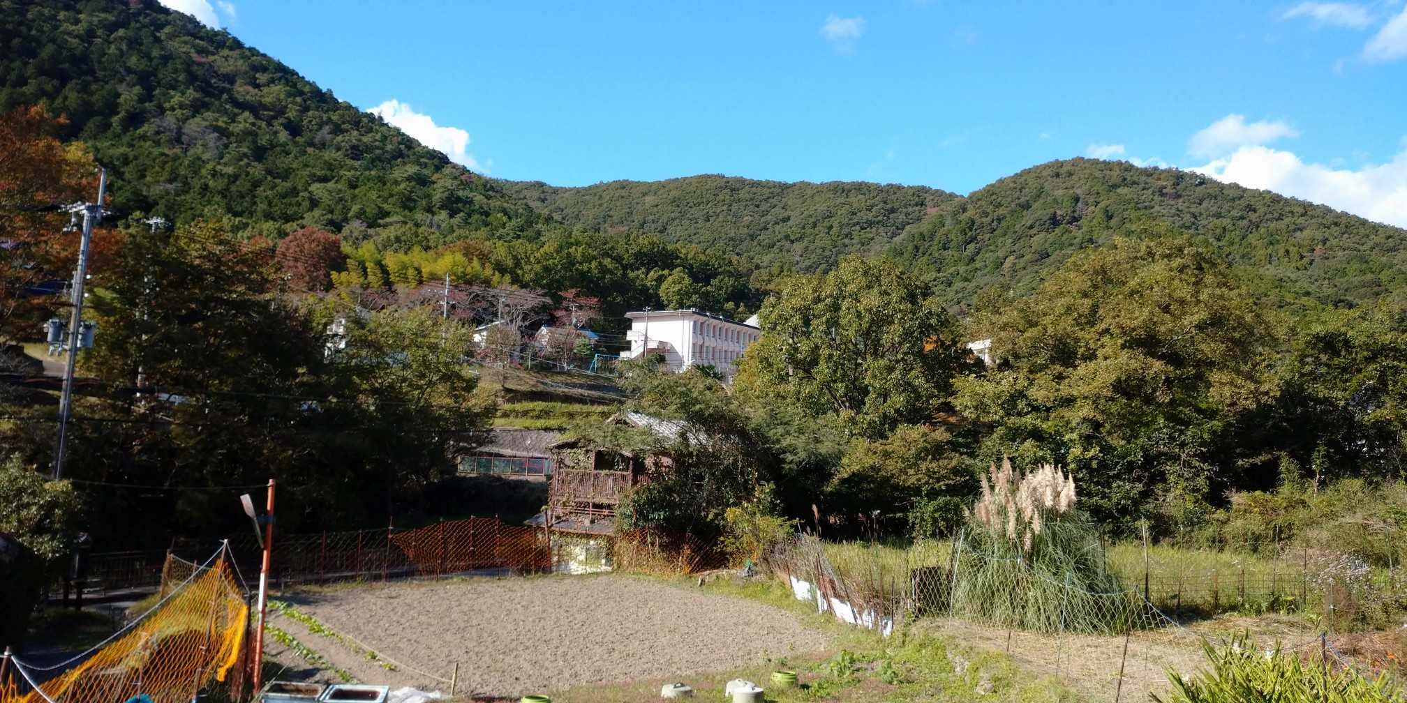 田舎の風景良いね🍀