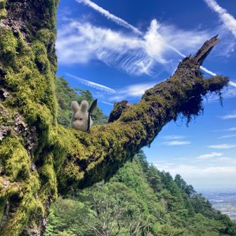 おや