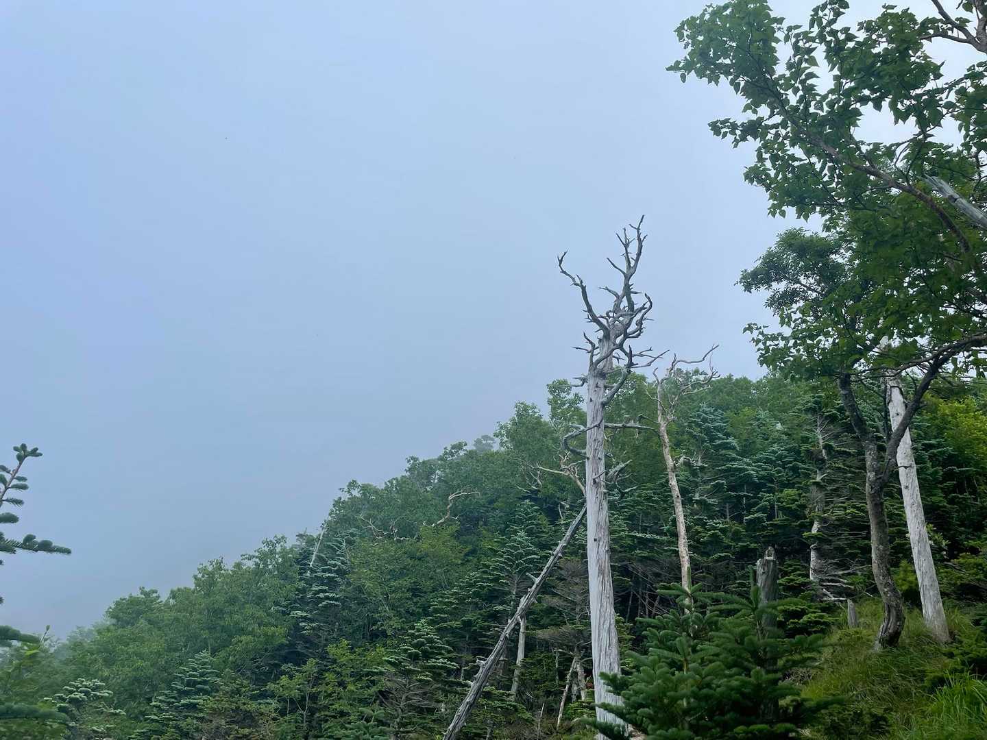 そうこうしてるうちにガス☁️
またかー、、、😭