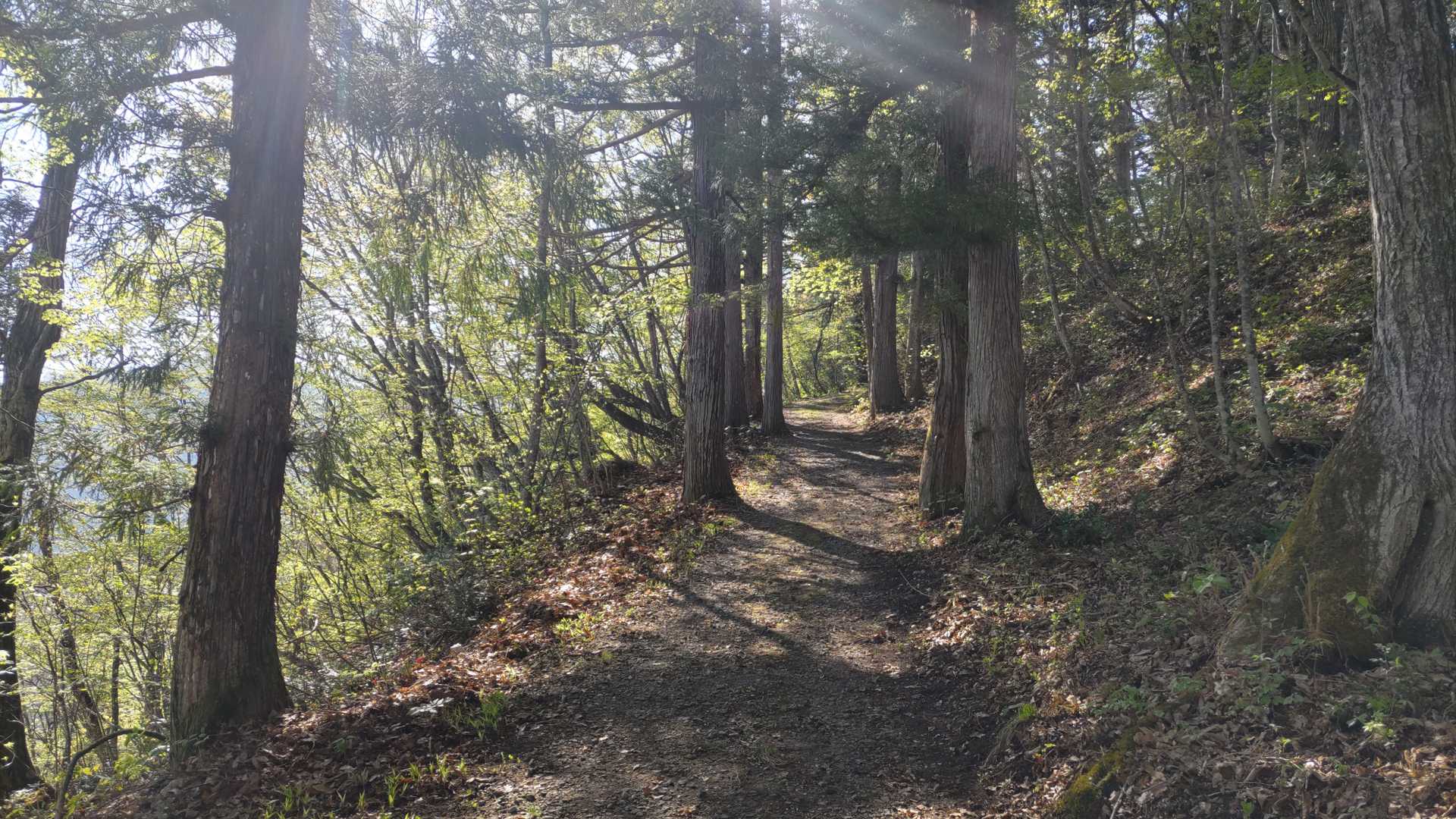飯縄山頂までは広く整備された道。傾斜はそれなりに急。