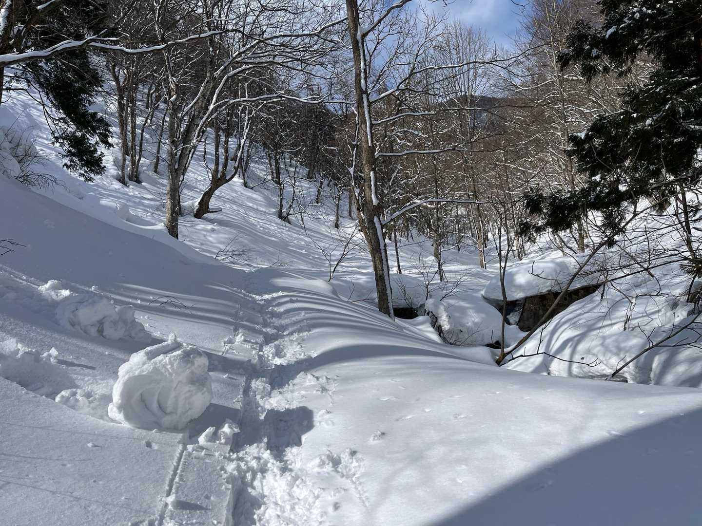 登り始め シナモンロールが💦