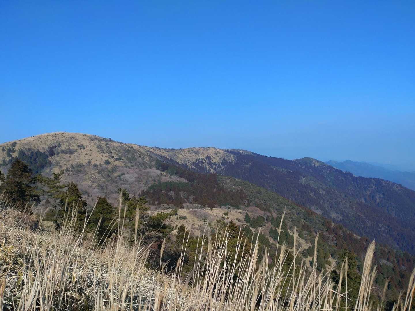 空は青い😄