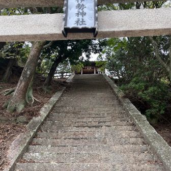 せっかく教えてもらったグレーピーク🩶
私だけ頑張って上がって来ました😆