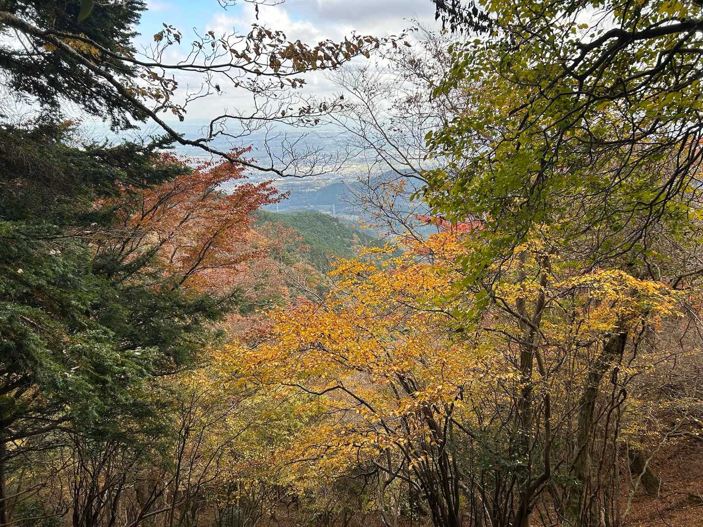 紅葉🍁