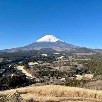 ススキと富士山