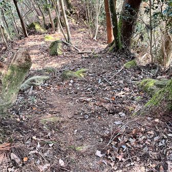 なんとか一人で移動出来た