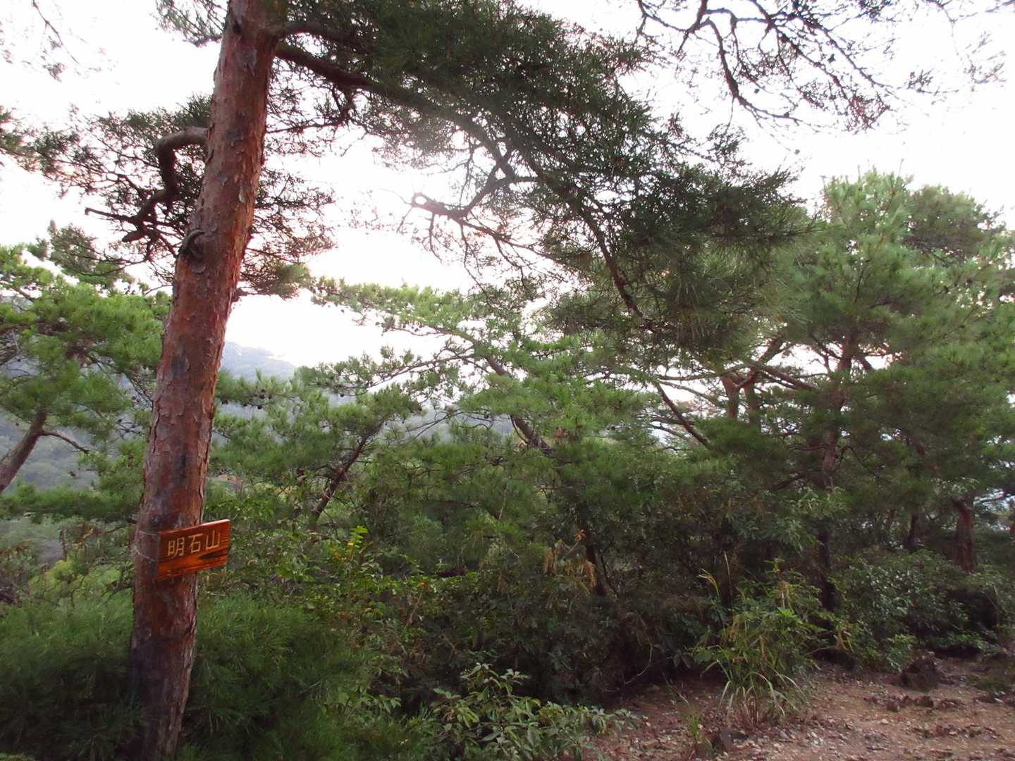 明石山山頂(標高161m)