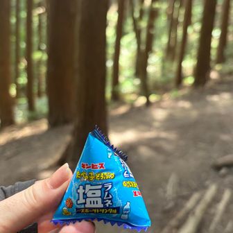 もうすぐ頂上だけどお腹が空いたので
たべっ子どうぶつの塩ラムネ
ちょっと食べると全然違うね
