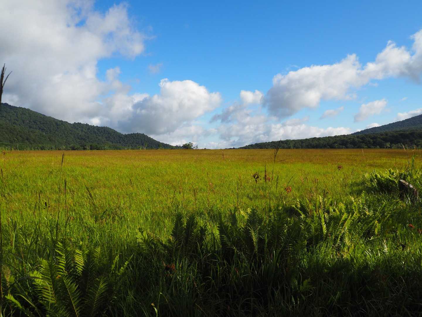 尾瀬沼-長英新道分岐-沼尻休憩所-鳩待峠 縦走コースの写真