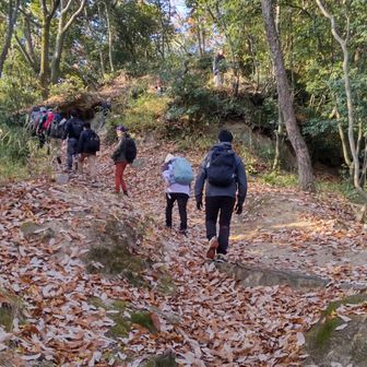 みんな速いぺース