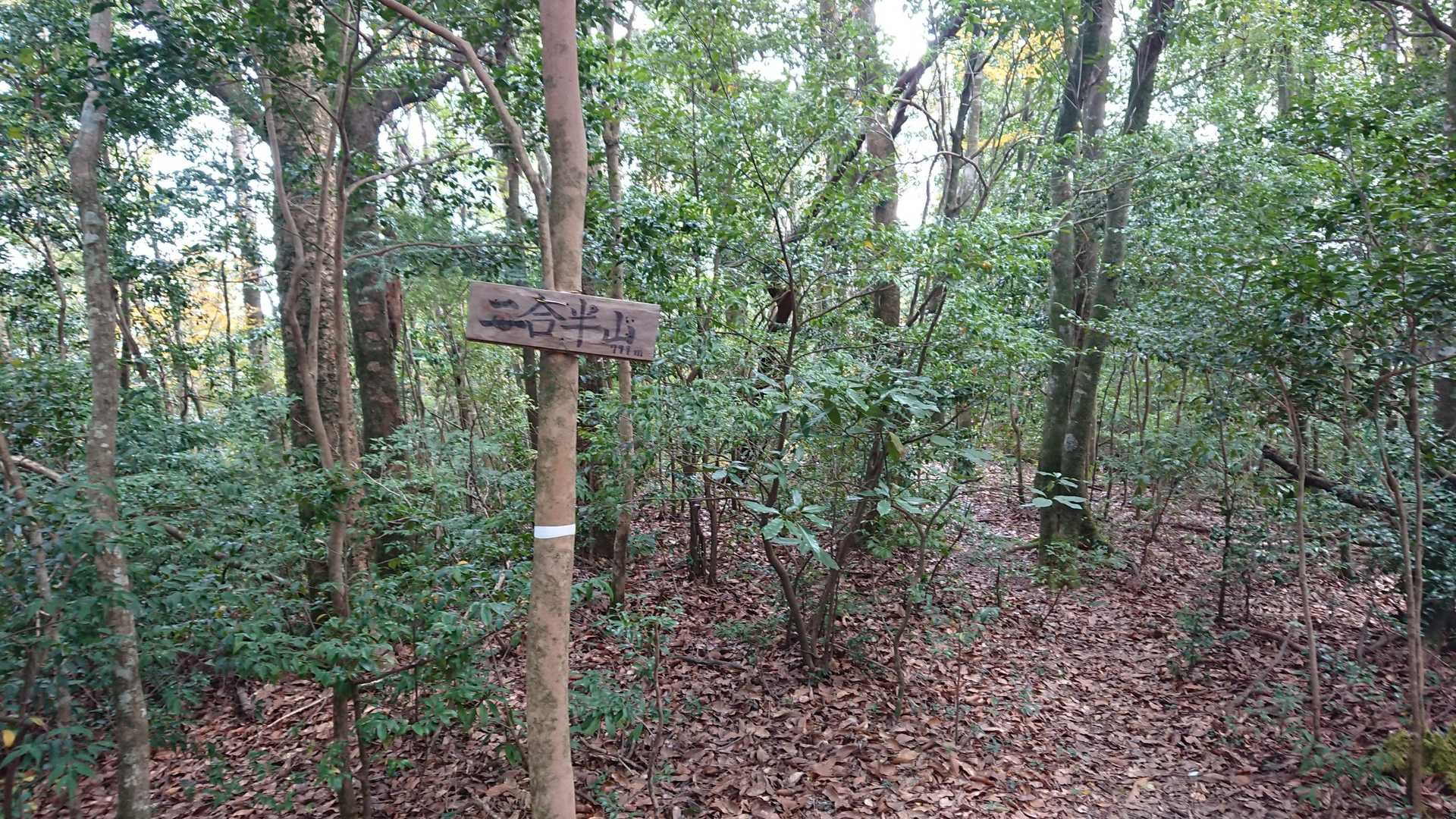 二合半岳を通過！展望なしです！