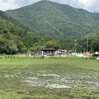 小谷山