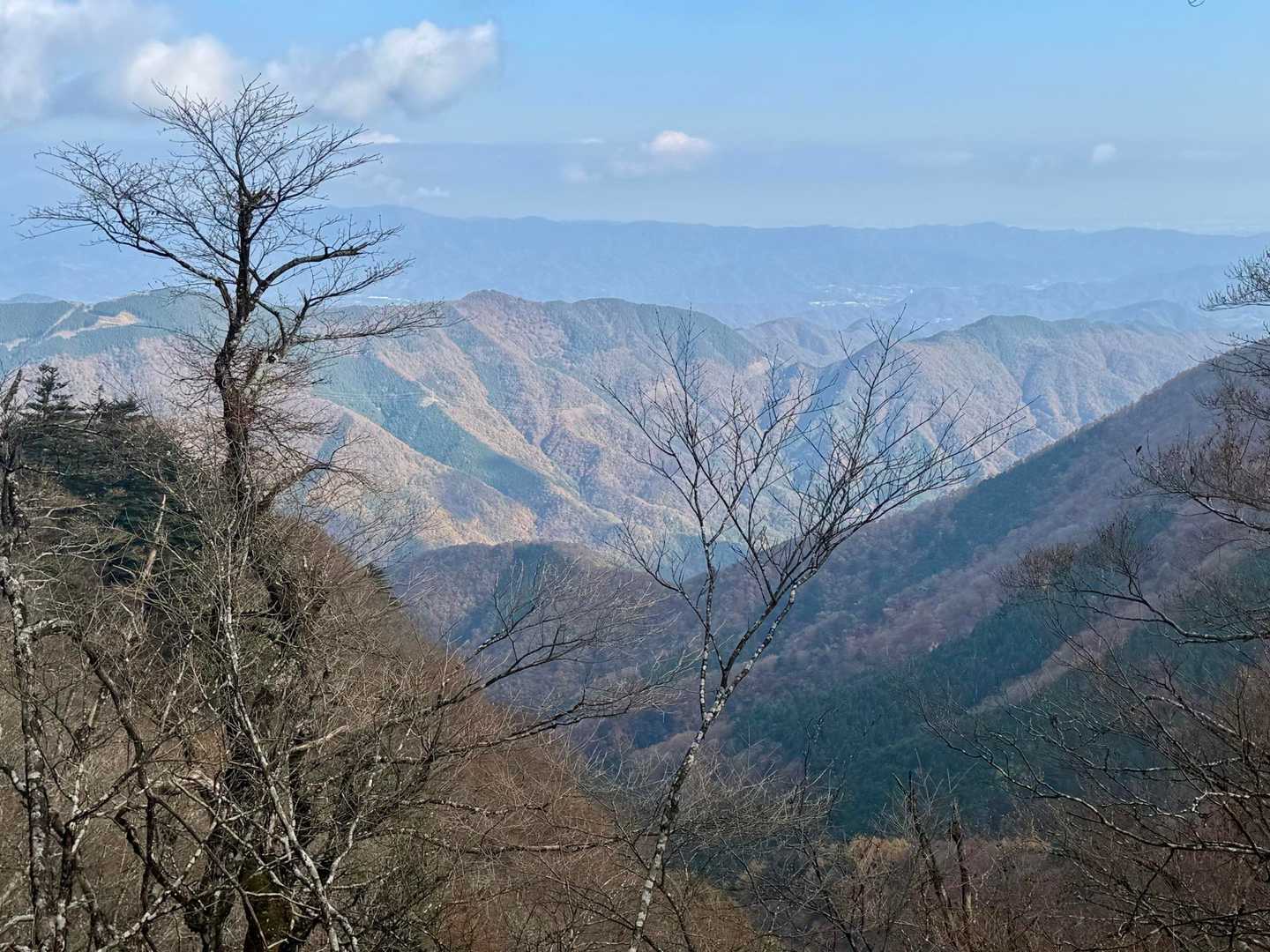 加入道山から稜線歩きになります。眺望バッチリ👌