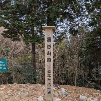 太祖宮奥宮で御朱印も頂いて若杉山登頂！
宮司さんたちも気さくで素敵でした☺️