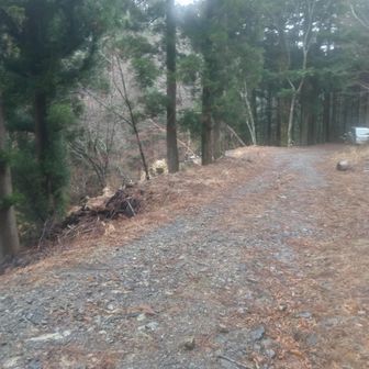 駐車場は、すぐそこ、車がみえました。