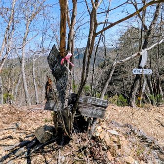仙人ヶ岳でちょこっと休憩して熊の分岐