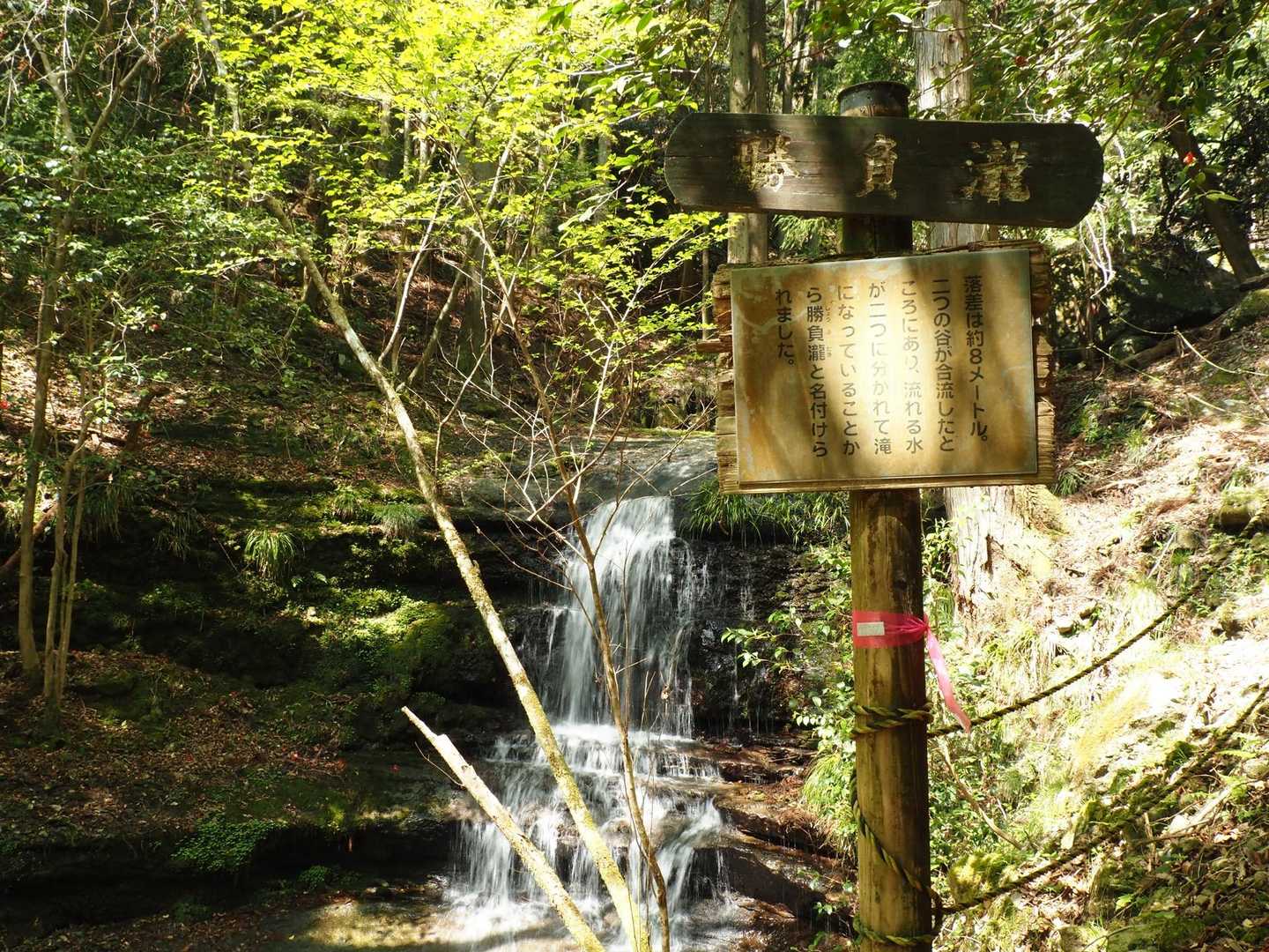 ネイチャーパーク笠形-笠形山 往復コースの写真