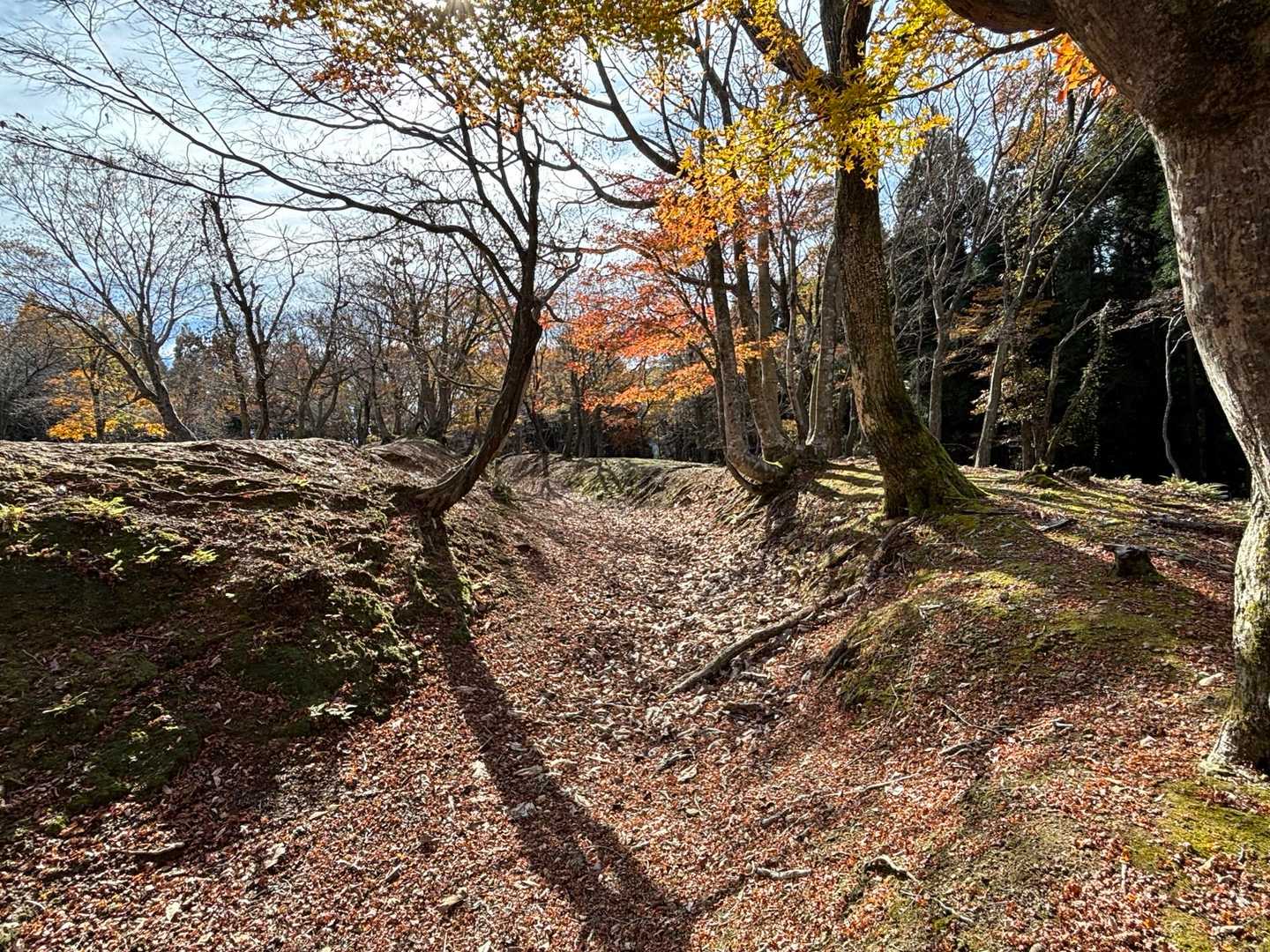 柳ヶ瀬山-玄蕃尾城 往復コースの写真