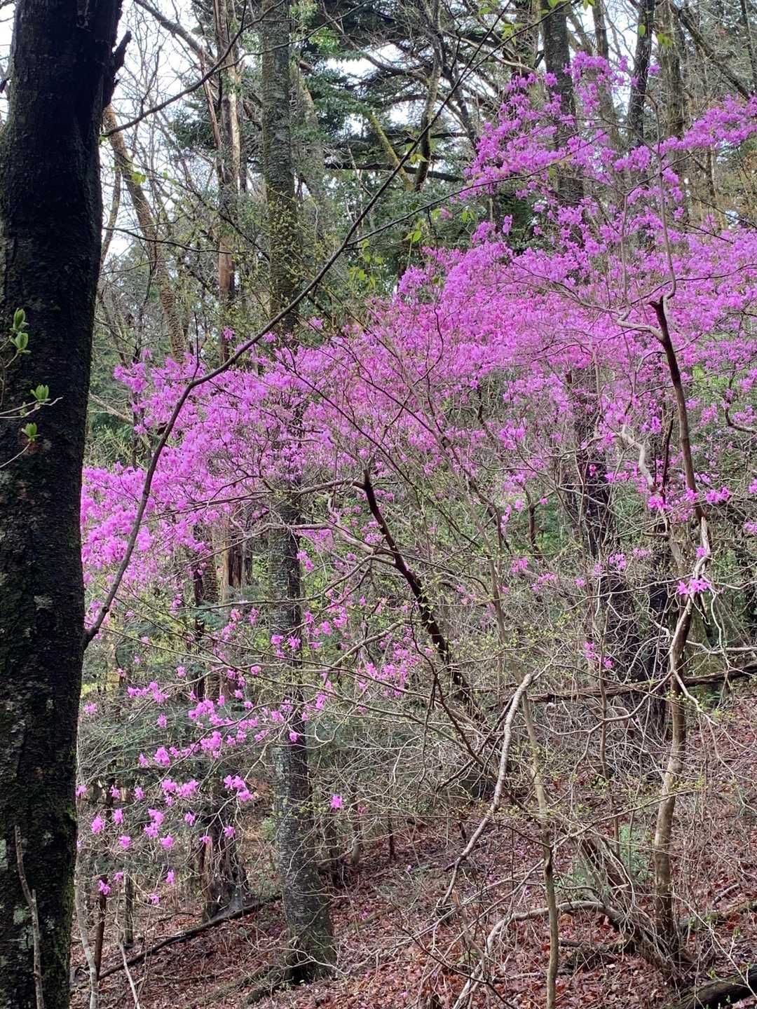 癒される〜