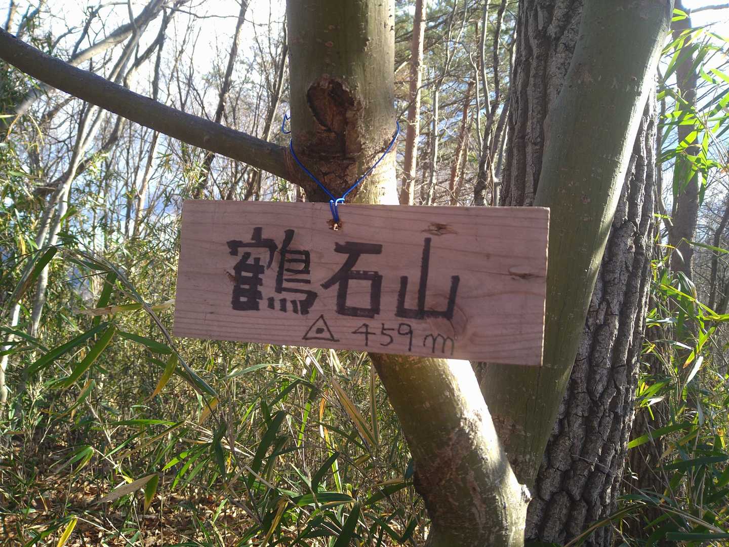 アッという間に山頂到着