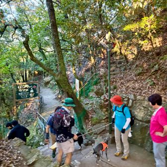 今日の渋滞はこの場所
ワイガヤです♪