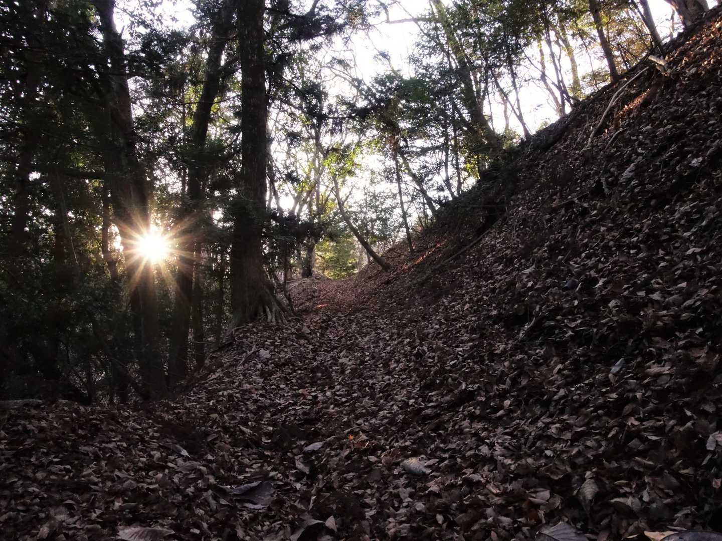 四方津駅-大地峠・高柄山登り口-川合峠-大丸-千足峠-高柄 縦走コースの写真