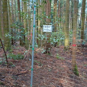 私は柵の中にいたのですね。
藤原山荘からココまで、誰にも会わなかった😑
この後は藤原岳登山口までロード歩いて戻りました👣
お疲れさまでした😆