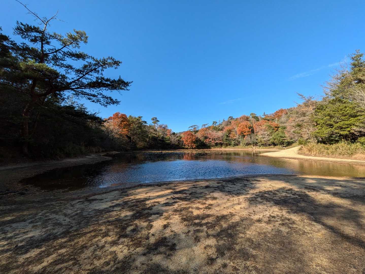 横池の水が少ない。