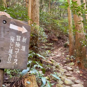 こちらのコースで