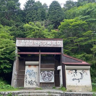 着いたときここに沢山人いたなあ🅿️🦝
