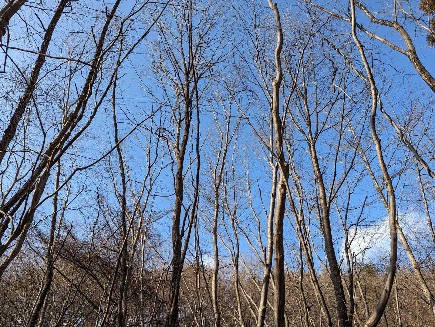 青空で良いです💙