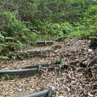 三重城山は少し山らしい登山道