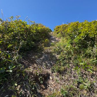 バルファルク)あーきっつw
シャガルマガラ)これ越えないと越後駒ヶ岳着かないぞ！