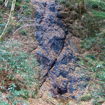 残念ながら干上がってました🐉