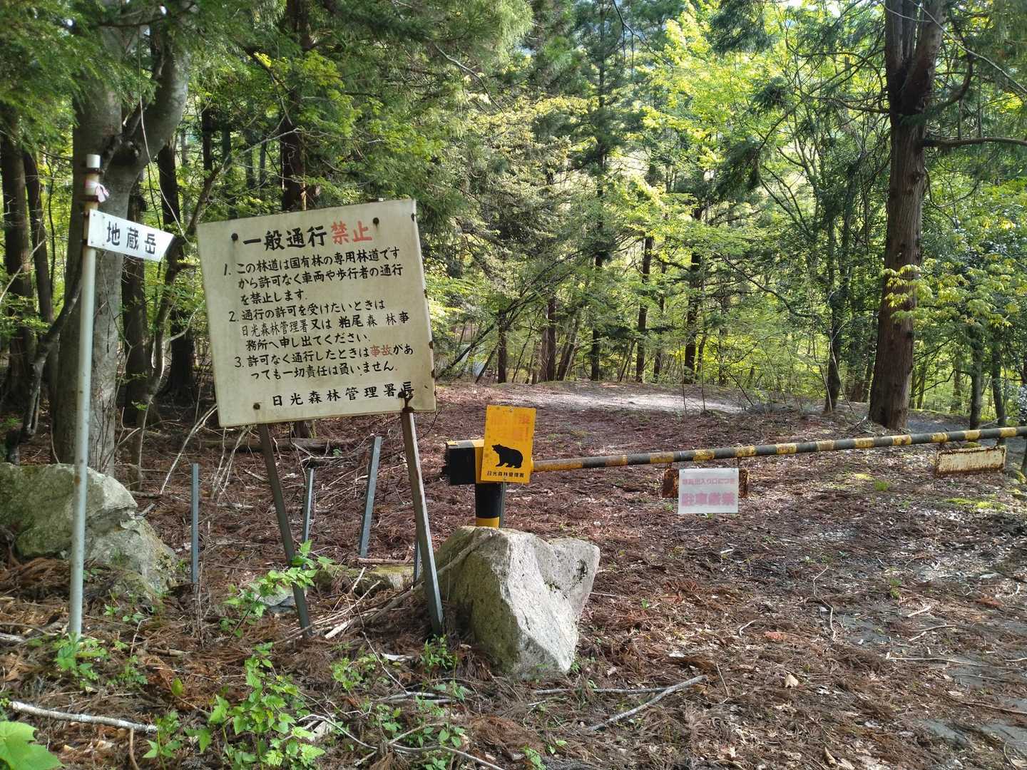 登山口
林道を進みます