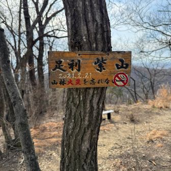 紫山、登頂しました！

至る所に山林火災の警告があります。
2021年のタバコが原因の大規模な山火事を受け、条例により山林内での火気使用が全面的に禁止されているそうです。