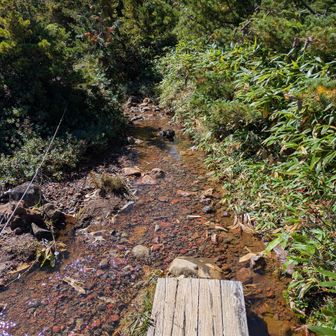 明け方までの雨で、登山道は清流に