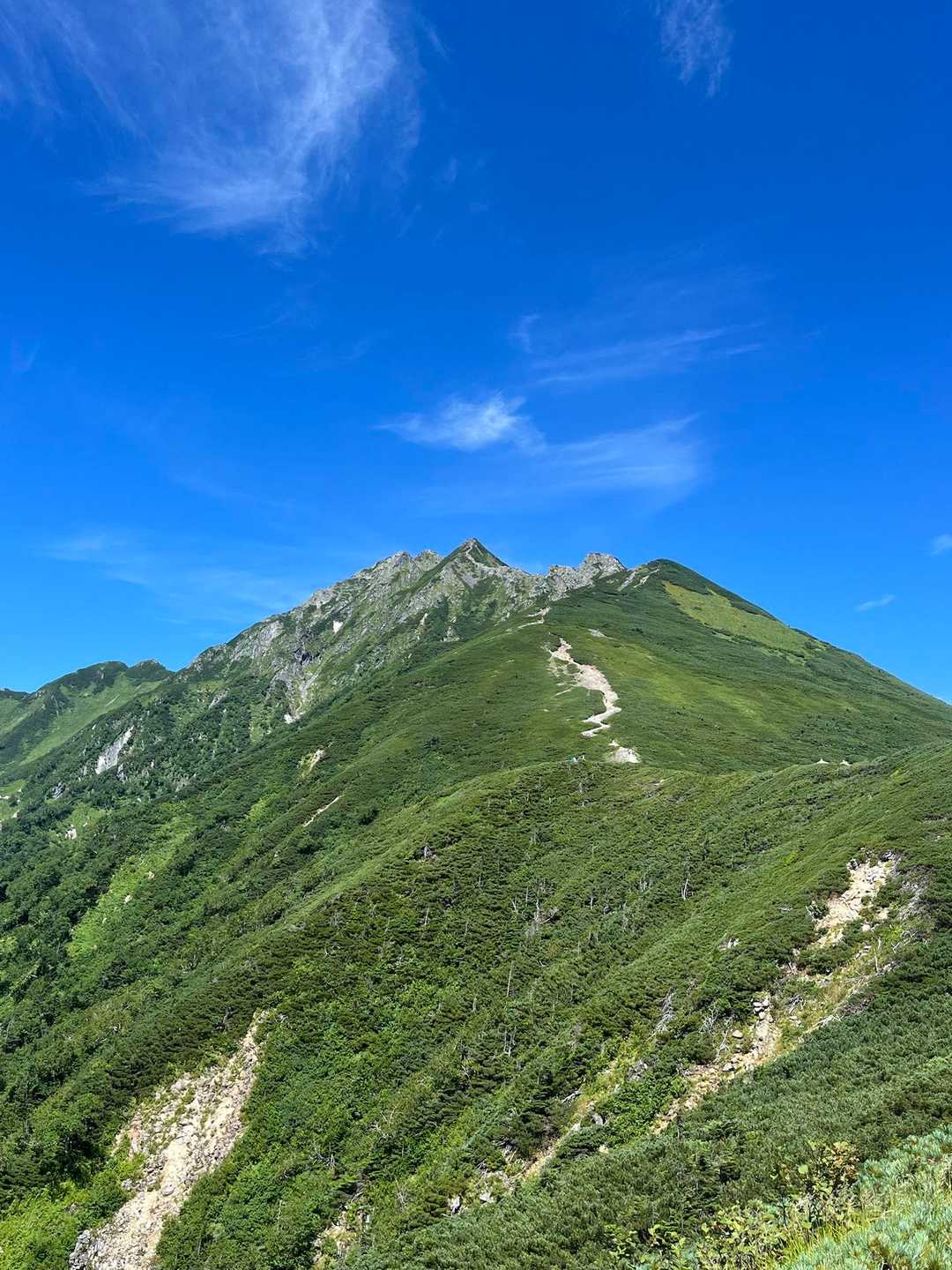 西穂丸山 往復コースの写真